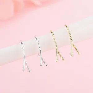 Earrings S925 Silver Stud Earrings Ear Rings