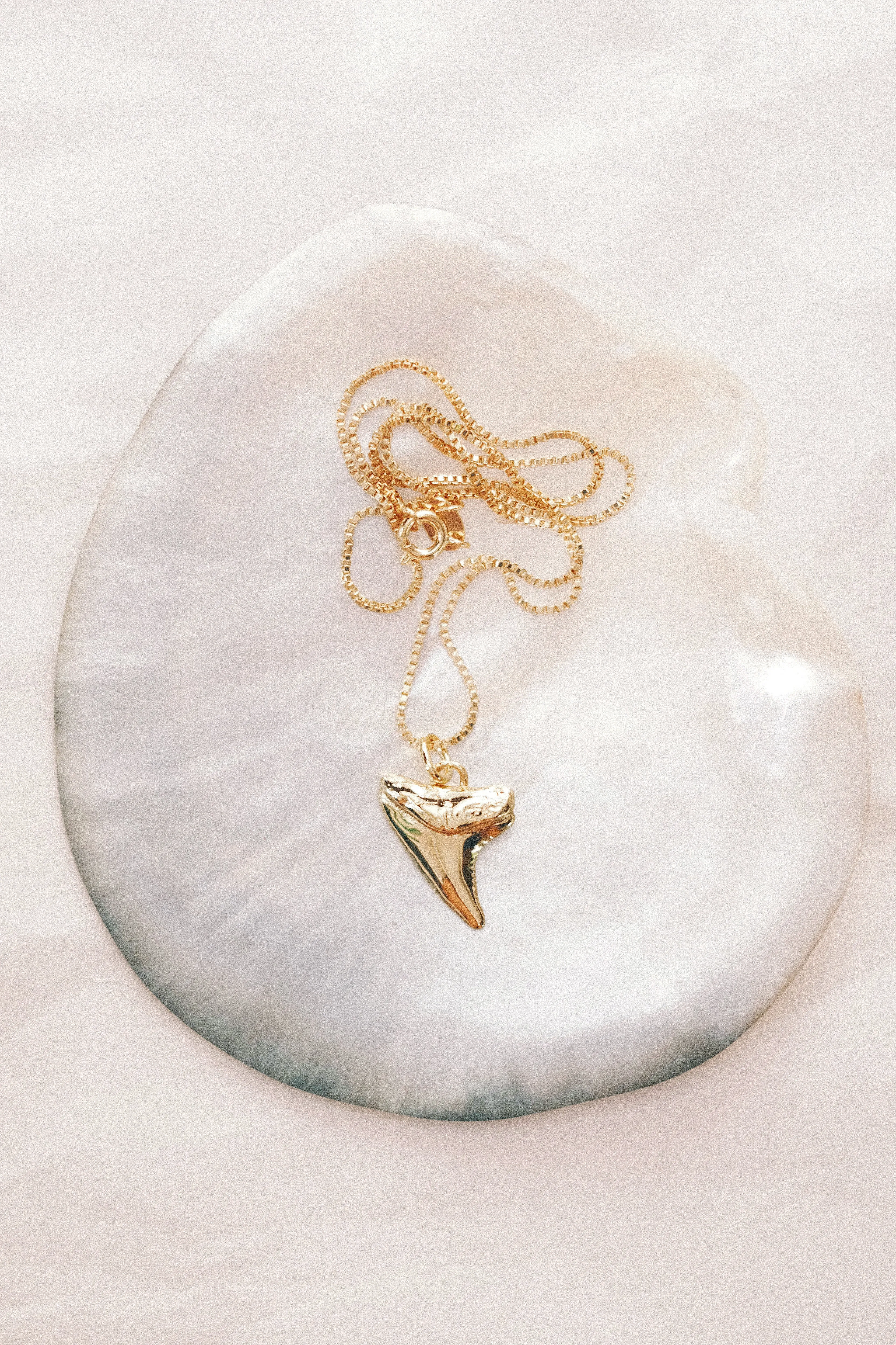 Gold Shark Tooth Necklace - Mano