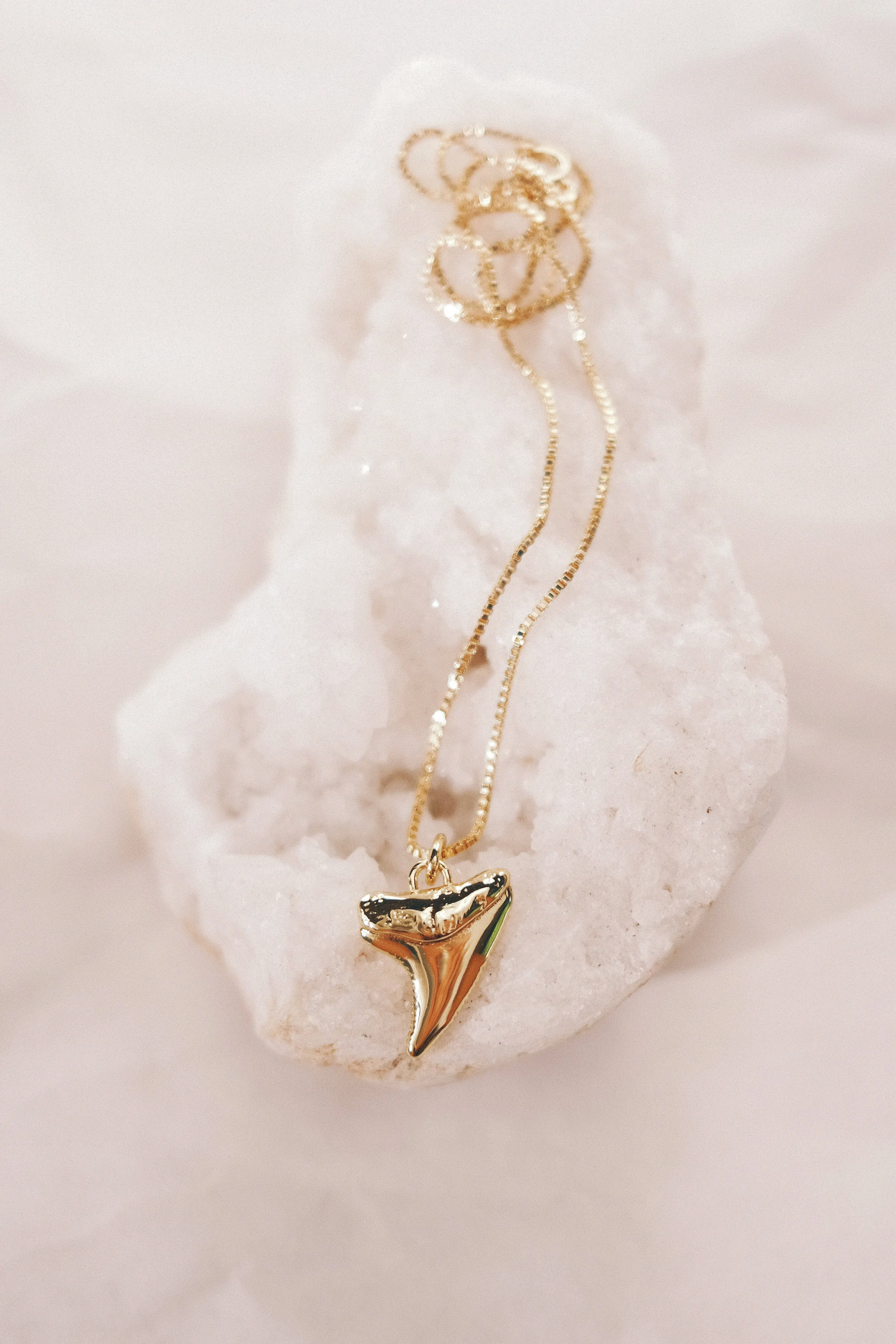 Gold Shark Tooth Necklace - Mano