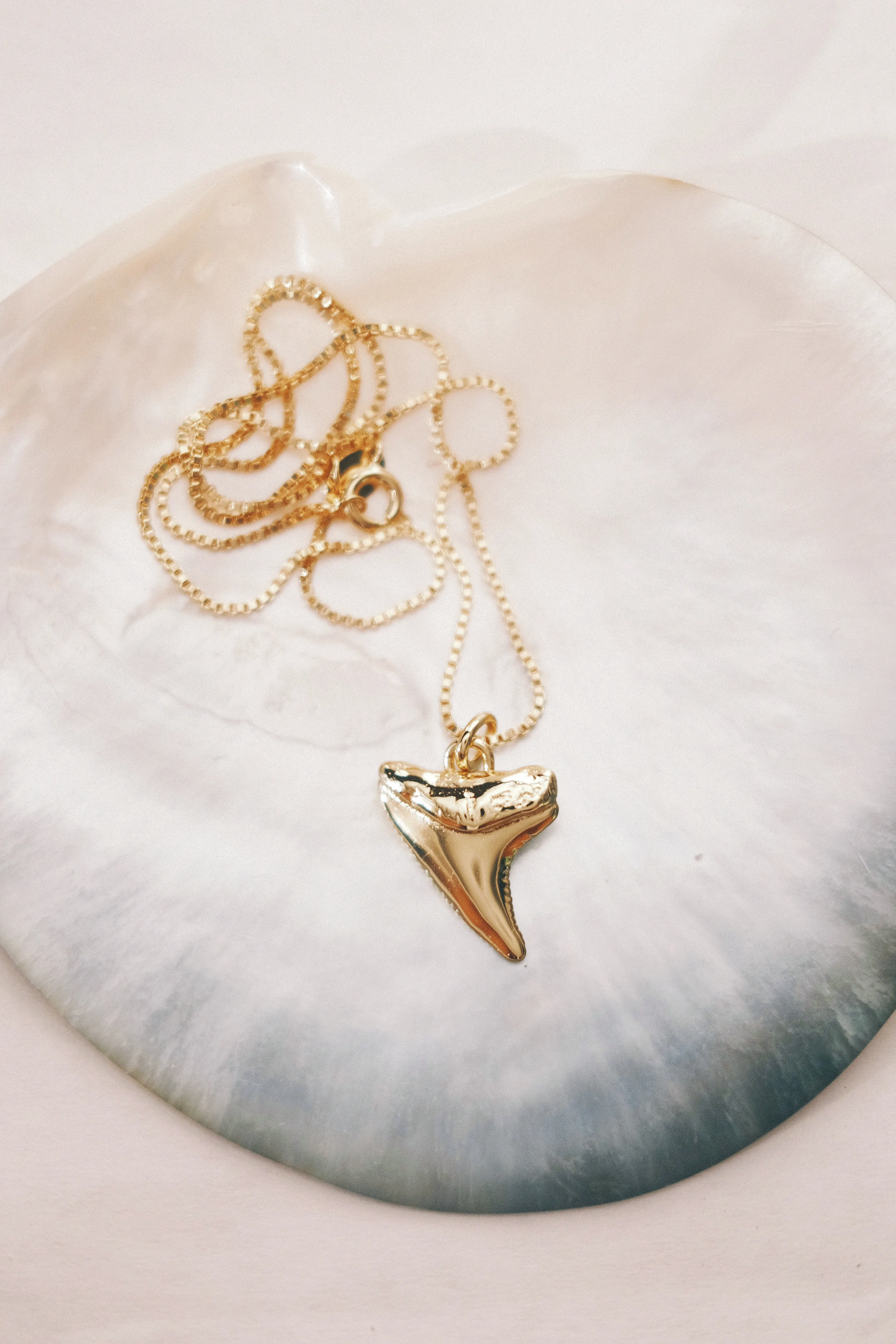 Gold Shark Tooth Necklace - Mano