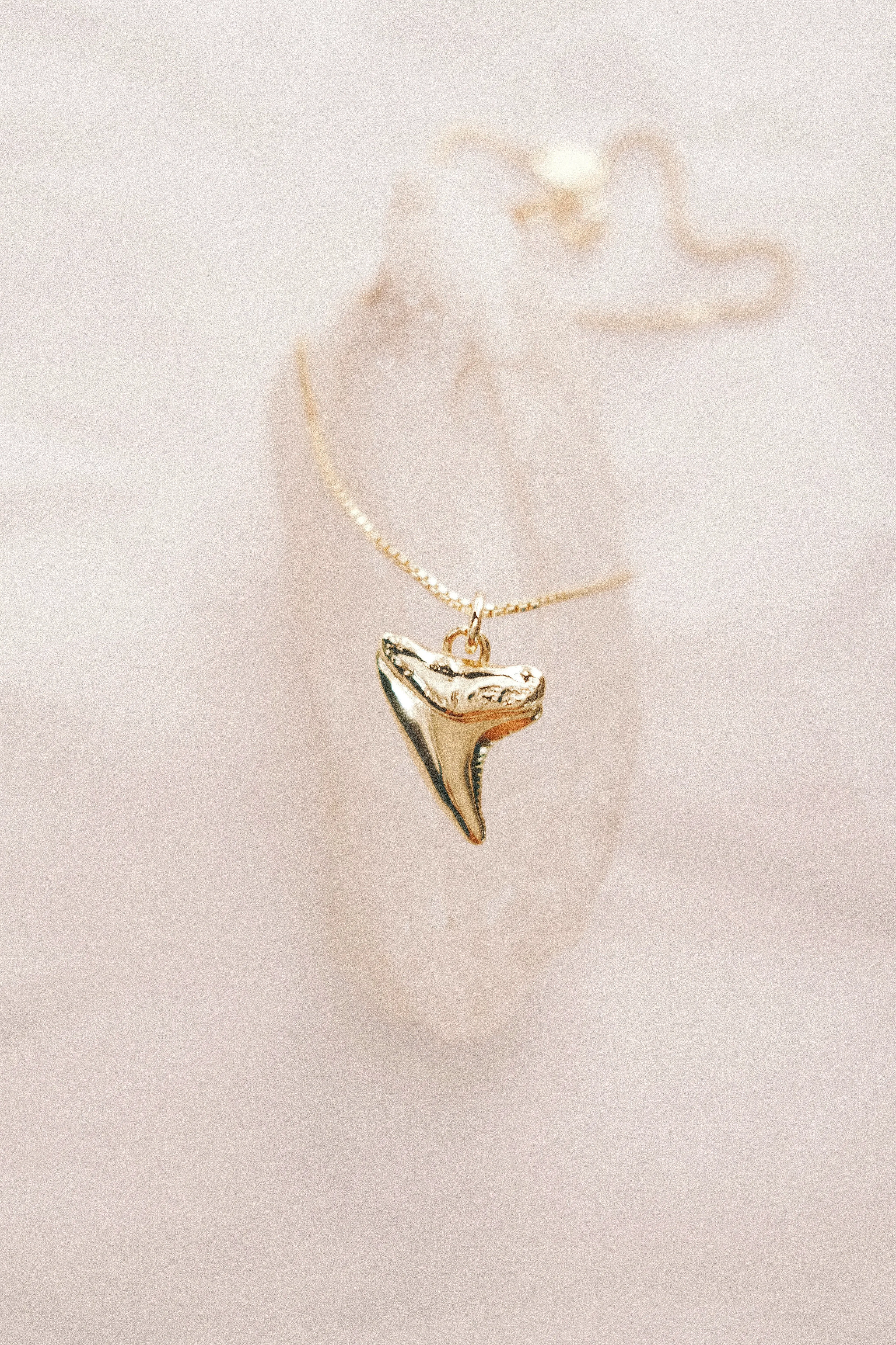 Gold Shark Tooth Necklace - Mano