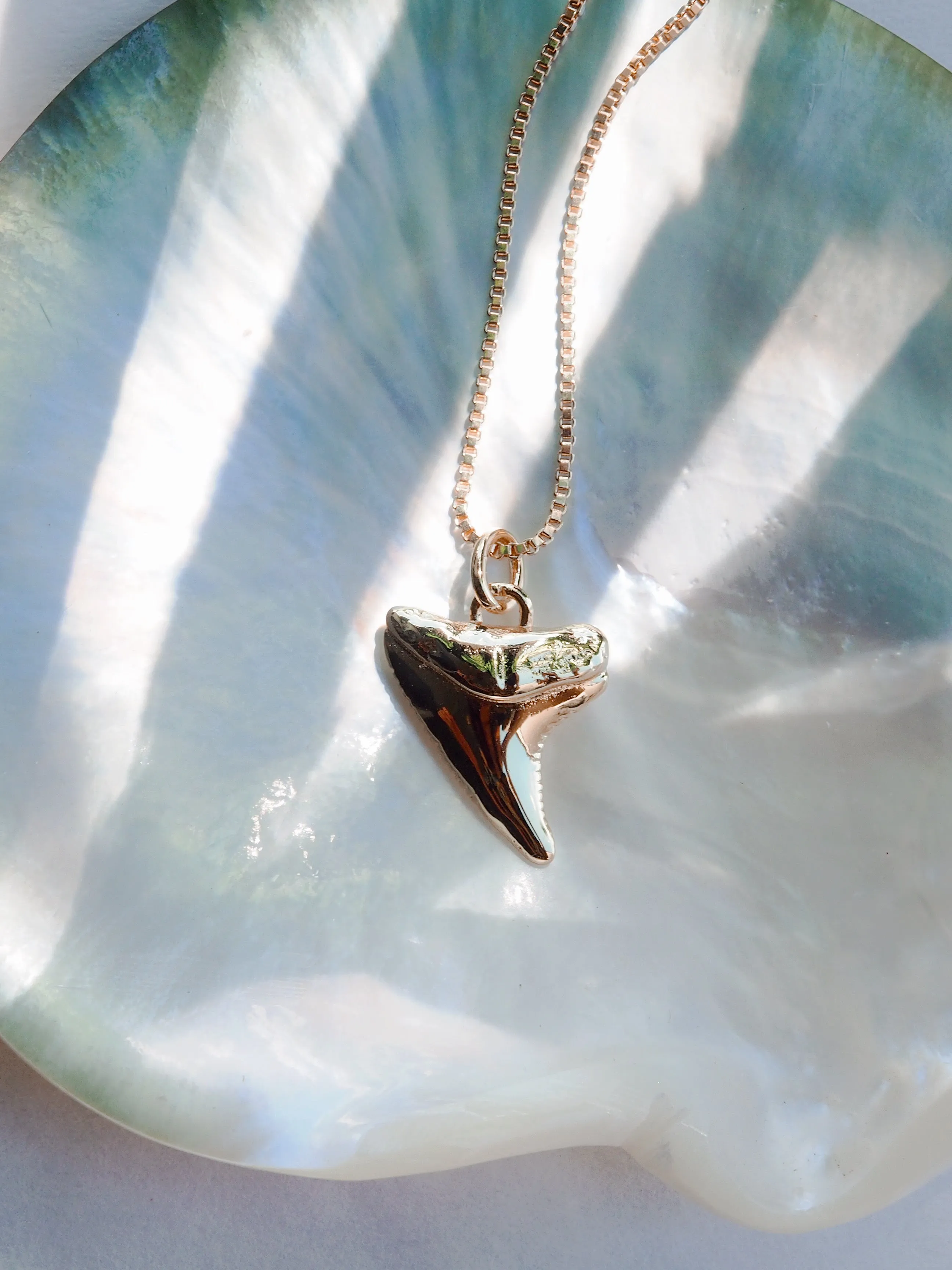 Gold Shark Tooth Necklace - Mano