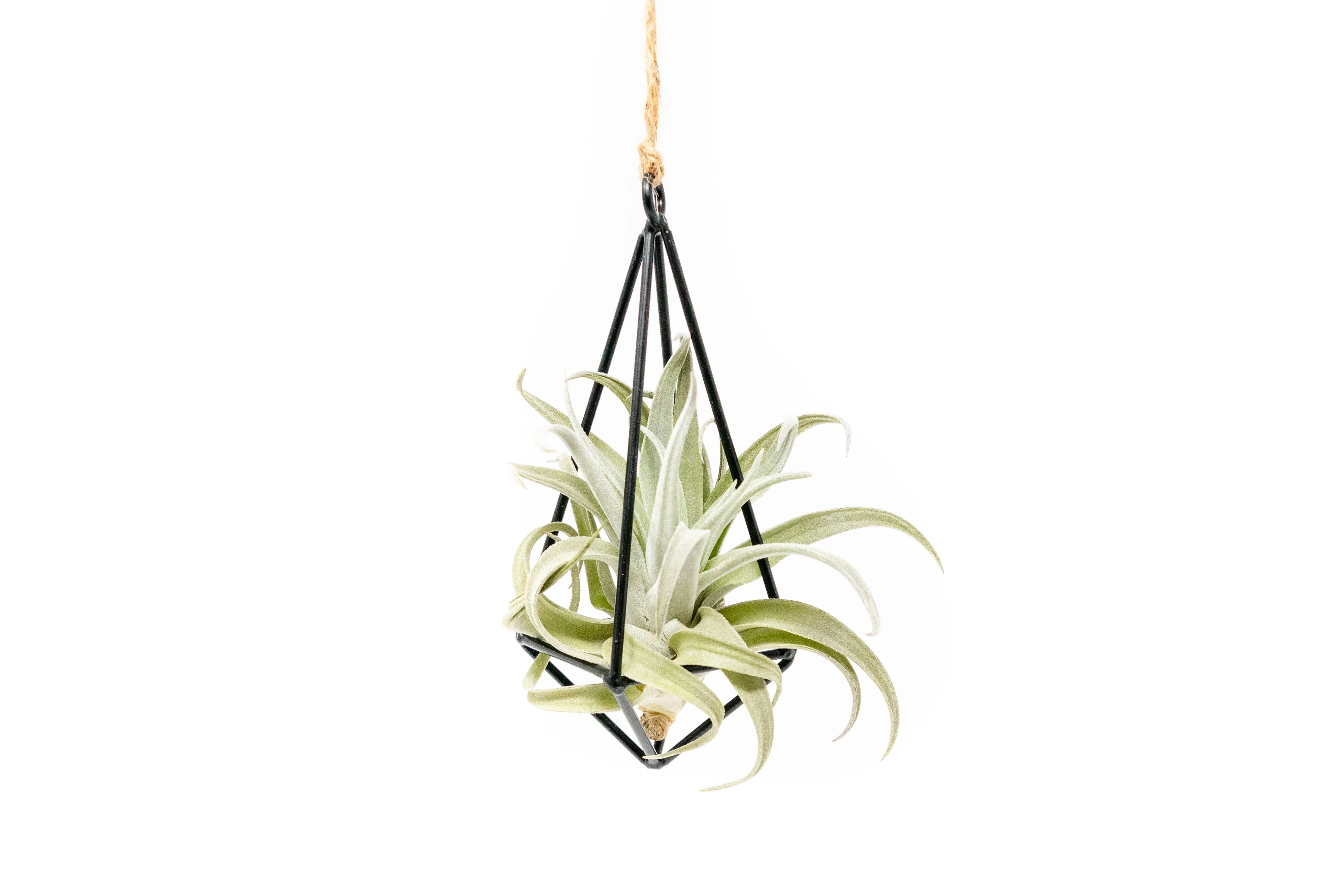 Hanging Metal Pendant